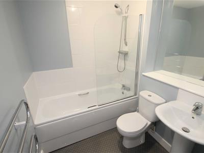 Picture 8